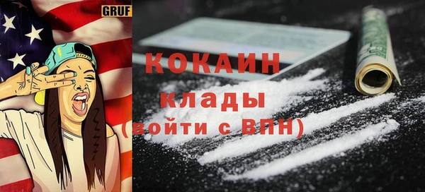гашик Гусь-Хрустальный
