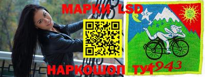 стаф Волгодонск