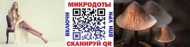 нарко площадка формула Дмитров Псилоцибиновые грибы мухоморы