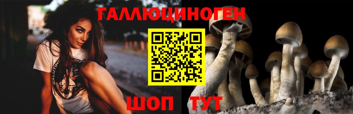 Псилоцибиновые грибы прущие грибы Дмитров